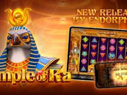 Pengguna sedang mencari informasi FAQ lim4d di perangkat mobile